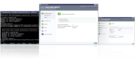 Screenshot Gallery for ESET File Security for Microsoft Windows Server